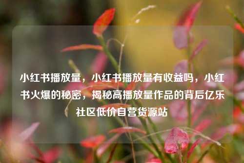小红书播放量，小红书播放量有收益吗	，小红书火爆的秘密，揭秘高播放量作品的背后亿乐社区低价自营货源站  第1张