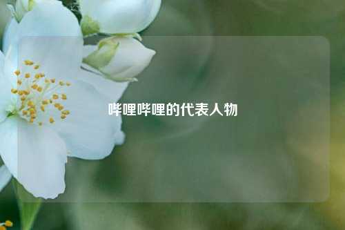 哔哩哔哩的代表人物  第1张