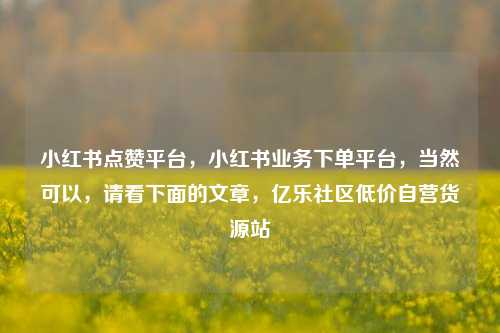小红书点赞平台，小红书业务下单平台	，当然可以，请看下面的文章，亿乐社区低价自营货源站  第1张