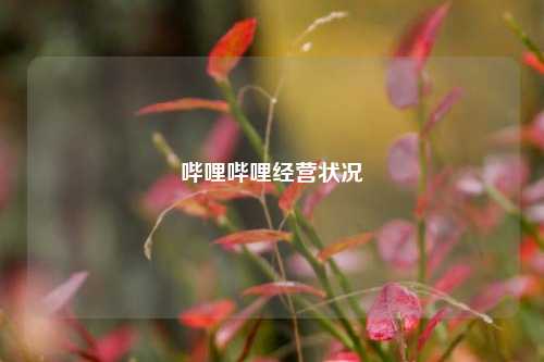 哔哩哔哩经营状况  第1张