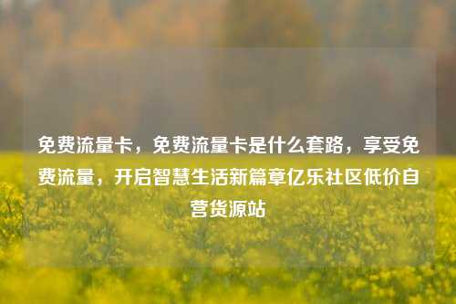 免费流量卡，免费流量卡是什么套路，享受免费流量	，开启智慧生活新篇章亿乐社区低价自营货源站  第1张