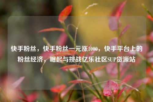 快手粉丝，快手粉丝一元涨1000	，快手平台上的粉丝经济，崛起与挑战亿乐社区SUP货源站  第1张
