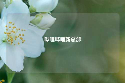 哔哩哔哩新总部  第1张