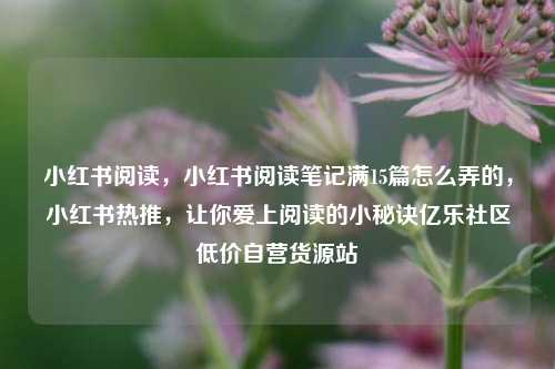 小红书阅读，小红书阅读笔记满15篇怎么弄的，小红书热推	，让你爱上阅读的小秘诀亿乐社区低价自营货源站  第1张