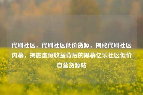 代刷社区，代刷社区低价货源，揭秘代刷社区内幕	，揭露虚假收益背后的黑幕亿乐社区低价自营货源站  第1张