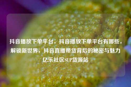 抖音播放下单平台，抖音播放下单平台有哪些，解锁新世界	，抖音直播带货背后的秘密与魅力亿乐社区SUP货源站  第1张