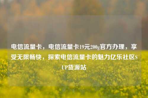电信流量卡，电信流量卡19元200g官方办理，享受无限畅快	，探索电信流量卡的魅力亿乐社区SUP货源站  第1张