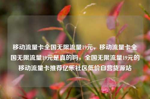 移动流量卡全国无限流量19元，移动流量卡全国无限流量19元是真的吗	，全国无限流量19元的移动流量卡推荐亿乐社区低价自营货源站  第1张
