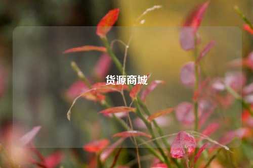 货源商城  第1张