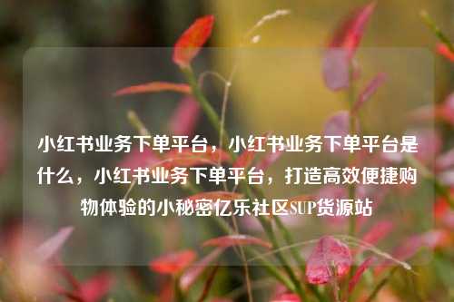 小红书业务下单平台，小红书业务下单平台是什么	，小红书业务下单平台，打造高效便捷购物体验的小秘密亿乐社区SUP货源站  第1张
