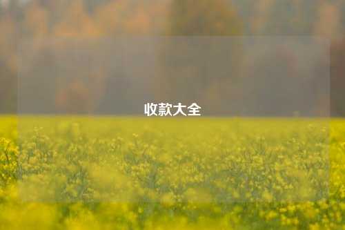 收款大全  第1张
