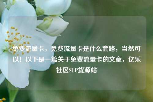 免费流量卡，免费流量卡是什么套路，当然可以！以下是一篇关于免费流量卡的文章	，亿乐社区SUP货源站  第1张