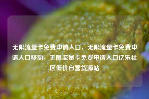 无限流量卡免费申请入口，无限流量卡免费申请入口移动	，无限流量卡免费申请入口亿乐社区低价自营货源站  第1张