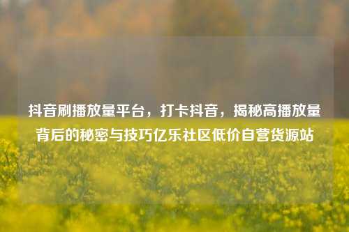 抖音刷播放量平台，打卡抖音	，揭秘高播放量背后的秘密与技巧亿乐社区低价自营货源站  第1张