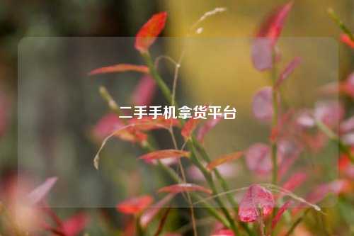 二手手机拿货平台  第1张