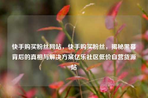 快手购买粉丝网站	，快手购买粉丝，揭秘黑幕背后的真相与解决方案亿乐社区低价自营货源站  第1张