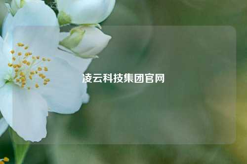 凌云科技集团官网  第1张