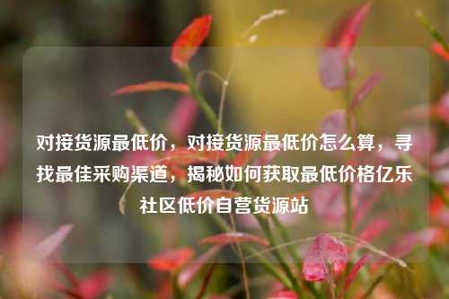 对接货源最低价，对接货源最低价怎么算	，寻找最佳采购渠道，揭秘如何获取最低价格亿乐社区低价自营货源站  第1张