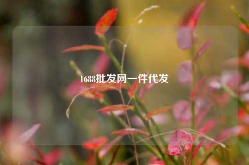 1688批发网一件代发  第1张