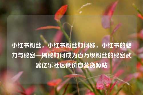 小红书粉丝	，小红书粉丝如何涨，小红书的魅力与秘密—揭秘如何成为百万级粉丝的秘密武器亿乐社区低价自营货源站  第1张