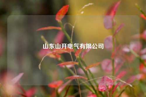 山东山开电气有限公司  第1张