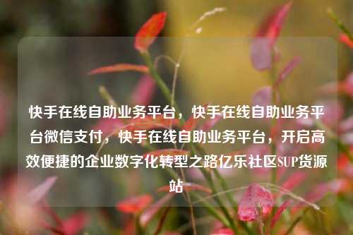 快手在线自助业务平台，快手在线自助业务平台微信支付	，快手在线自助业务平台，开启高效便捷的企业数字化转型之路亿乐社区SUP货源站  第1张