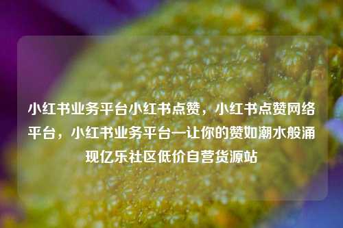 小红书业务平台小红书点赞，小红书点赞网络平台，小红书业务平台—让你的赞如潮水般涌现亿乐社区低价自营货源站  第1张