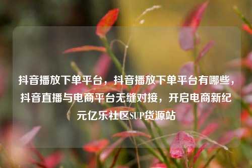 抖音播放下单平台，抖音播放下单平台有哪些	，抖音直播与电商平台无缝对接，开启电商新纪元亿乐社区SUP货源站  第1张