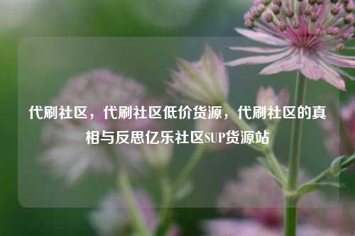 代刷社区，代刷社区低价货源，代刷社区的真相与反思亿乐社区SUP货源站  第1张