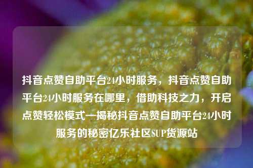 抖音点赞自助平台24小时服务，抖音点赞自助平台24小时服务在哪里，借助科技之力	，开启点赞轻松模式—揭秘抖音点赞自助平台24小时服务的秘密亿乐社区SUP货源站  第1张