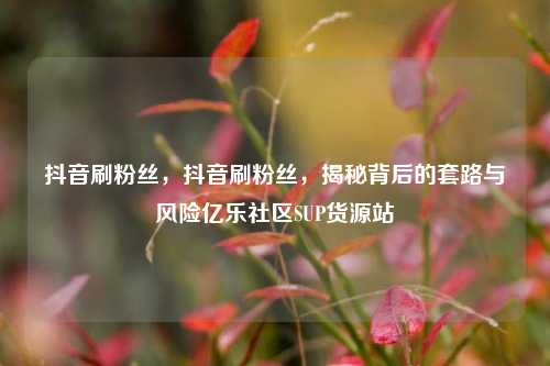 抖音刷粉丝，抖音刷粉丝，揭秘背后的套路与风险亿乐社区SUP货源站  第1张