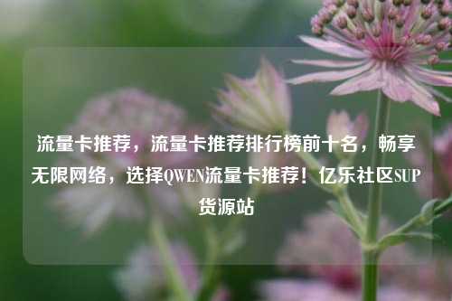 流量卡推荐，流量卡推荐排行榜前十名	，畅享无限网络，选择QWEN流量卡推荐！亿乐社区SUP货源站  第1张