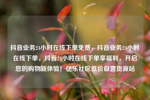 抖音业务24小时在线下单免费，抖音业务24小时在线下单	，抖音24小时在线下单享福利，开启您的购物新体验！亿乐社区低价自营货源站  第1张