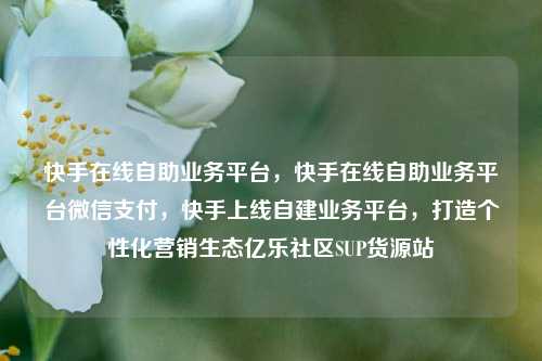 快手在线自助业务平台，快手在线自助业务平台微信支付，快手上线自建业务平台	，打造个性化营销生态亿乐社区SUP货源站  第1张