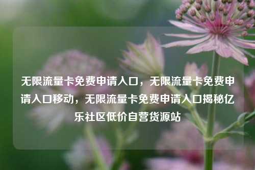 无限流量卡免费申请入口，无限流量卡免费申请入口移动，无限流量卡免费申请入口揭秘亿乐社区低价自营货源站  第1张