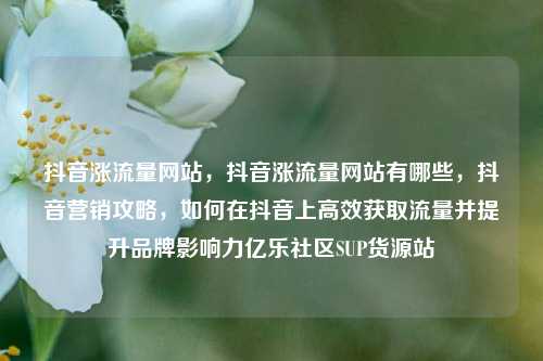 抖音涨流量网站，抖音涨流量网站有哪些，抖音营销攻略，如何在抖音上高效获取流量并提升品牌影响力亿乐社区SUP货源站  第1张
