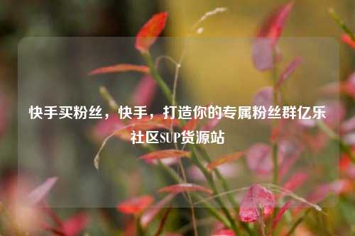 快手买粉丝，快手，打造你的专属粉丝群亿乐社区SUP货源站  第1张