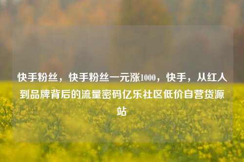 快手粉丝，快手粉丝一元涨1000，快手，从红人到品牌背后的流量密码亿乐社区低价自营货源站  第1张