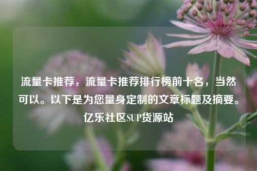 流量卡推荐，流量卡推荐排行榜前十名，当然可以。以下是为您量身定制的文章标题及摘要。亿乐社区SUP货源站  第1张