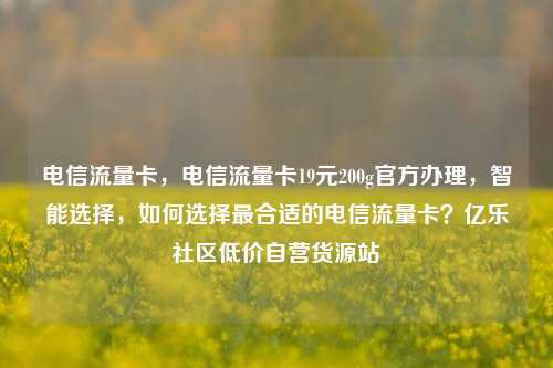 电信流量卡，电信流量卡19元200g官方办理，智能选择，如何选择最合适的电信流量卡？亿乐社区低价自营货源站  第1张
