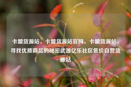 卡盟货源站，卡盟货源站官网，卡盟货源站，寻找优质商品的秘密武器亿乐社区低价自营货源站  第1张