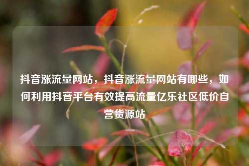 抖音涨流量网站，抖音涨流量网站有哪些，如何利用抖音平台有效提高流量亿乐社区低价自营货源站  第1张