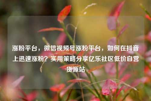 涨粉平台，微信视频号涨粉平台，如何在抖音上迅速涨粉？实用策略分享亿乐社区低价自营货源站  第1张